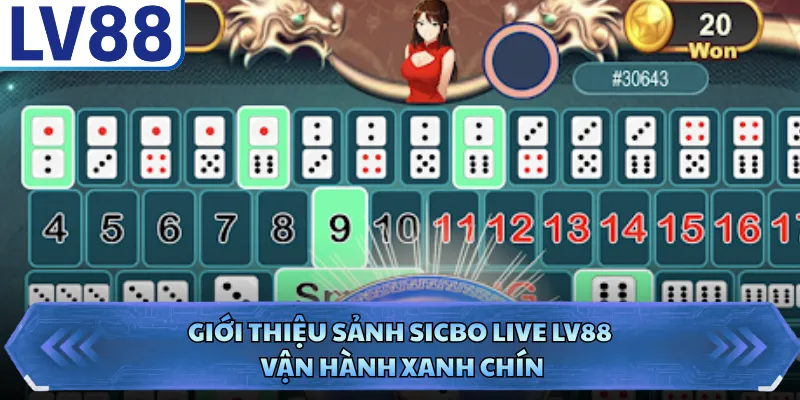 Sicbo Live LV88 - Cơ Hội Chơi Game Dân Gian Hấp Dẫn Nhất 1 Giới thiệu sảnh Sicbo Live LV88 vận hành xanh chín